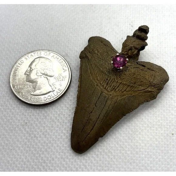 Vintage Bronze Coated Megalodon ? Tooth Pendant Genuine Tourmaline Accent Shark - Picture 3 of 9